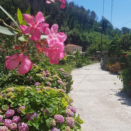 Casa Nonna Anna Villa Maiori Dış mekan fotoğraf