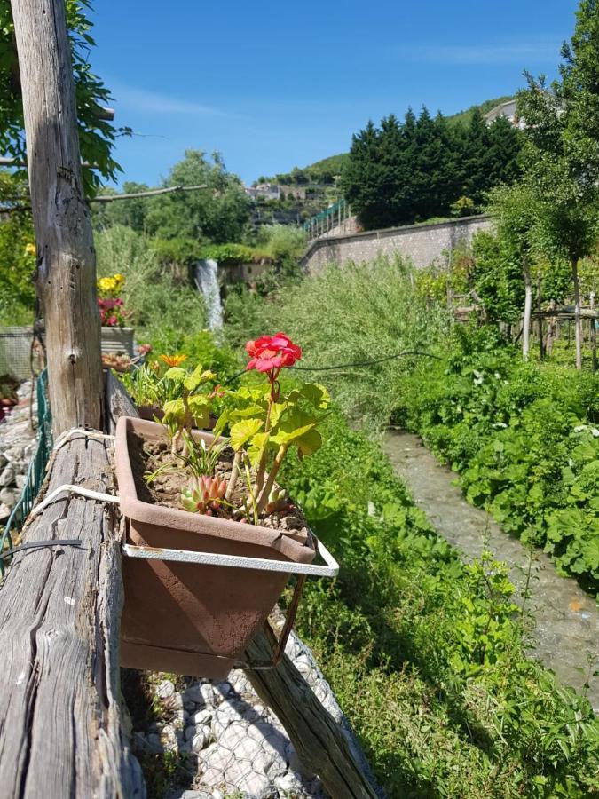 Casa Nonna Anna Villa Maiori Dış mekan fotoğraf