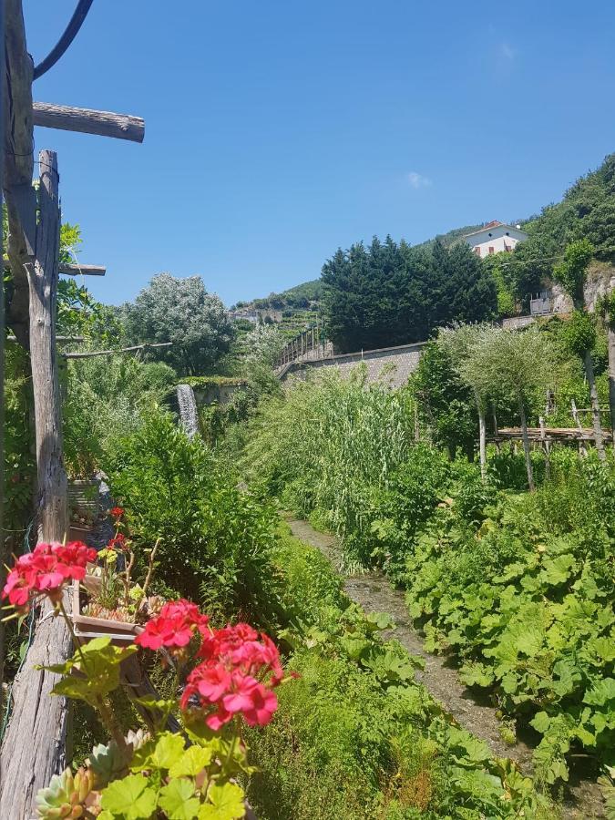 Casa Nonna Anna Villa Maiori Dış mekan fotoğraf
