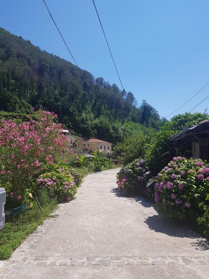 Casa Nonna Anna Villa Maiori Dış mekan fotoğraf