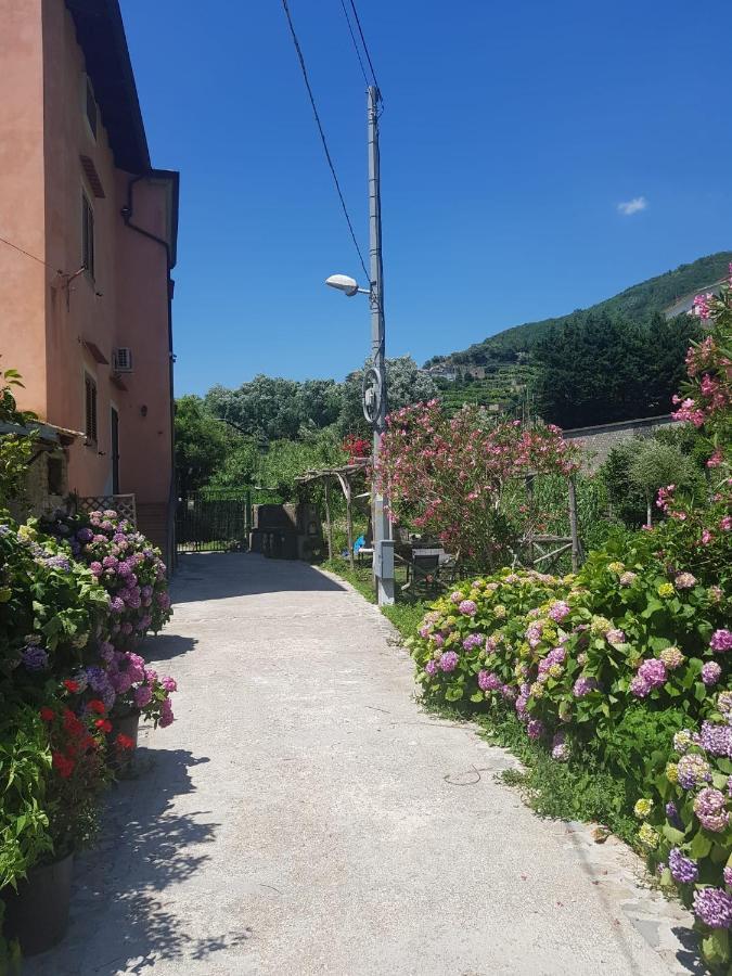 Casa Nonna Anna Villa Maiori Dış mekan fotoğraf