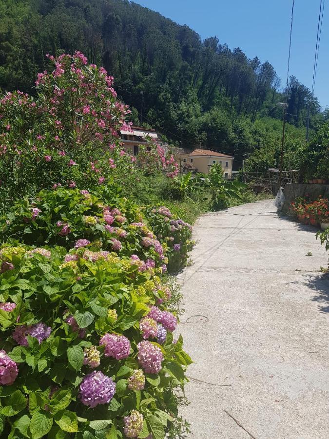 Casa Nonna Anna Villa Maiori Dış mekan fotoğraf
