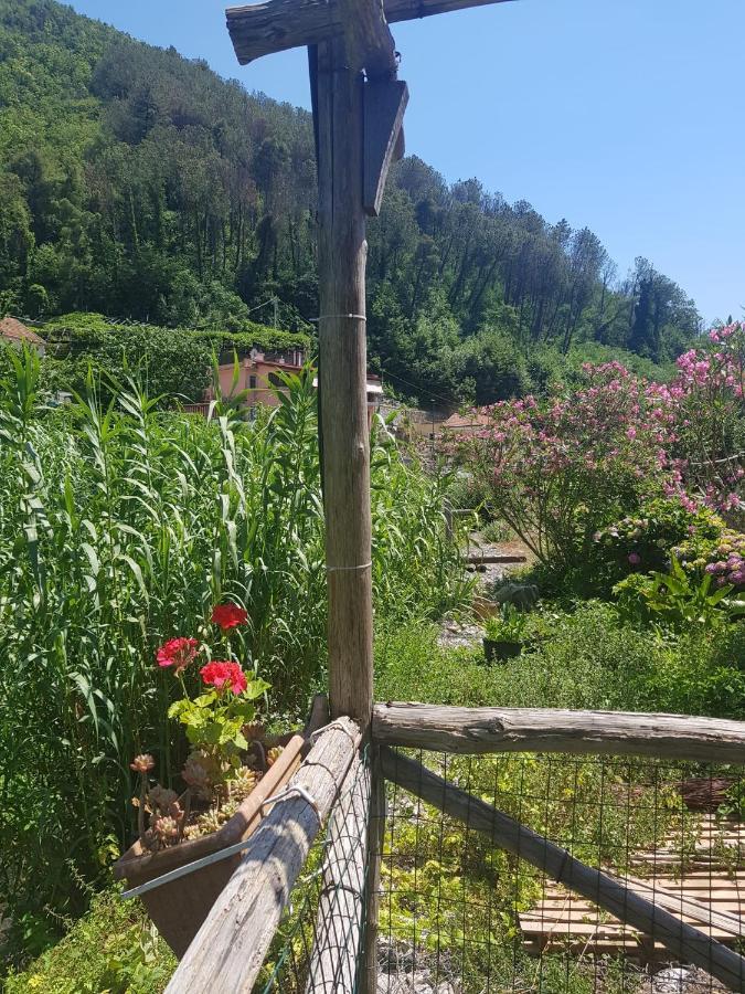 Casa Nonna Anna Villa Maiori Dış mekan fotoğraf